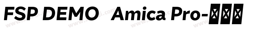 FSP DEMO   Amica Pro字体转换